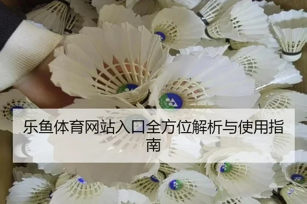 乐鱼体育网站入口全方位解析与使用指南