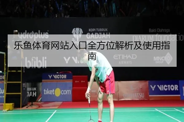 乐鱼体育网站入口全方位解析及使用指南